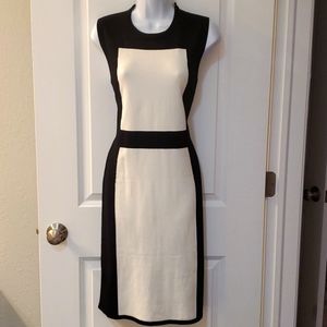 NWT Anne Klein size L black/cream dress